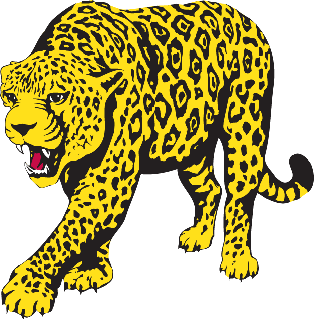 South Alabama Jaguars 1993-2007 Partial Logo t shirts DIY iron ons